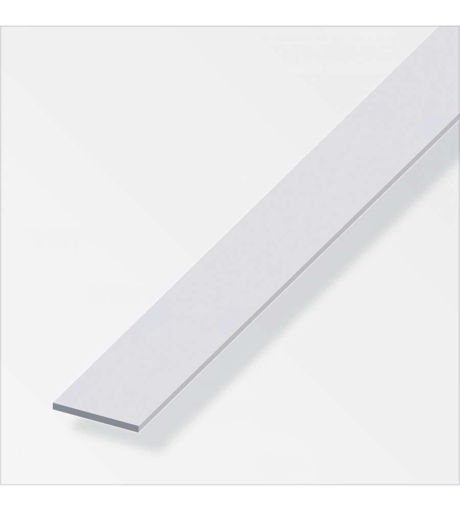 Barra Piatta 20X2 Alluminio Argento 1Metro