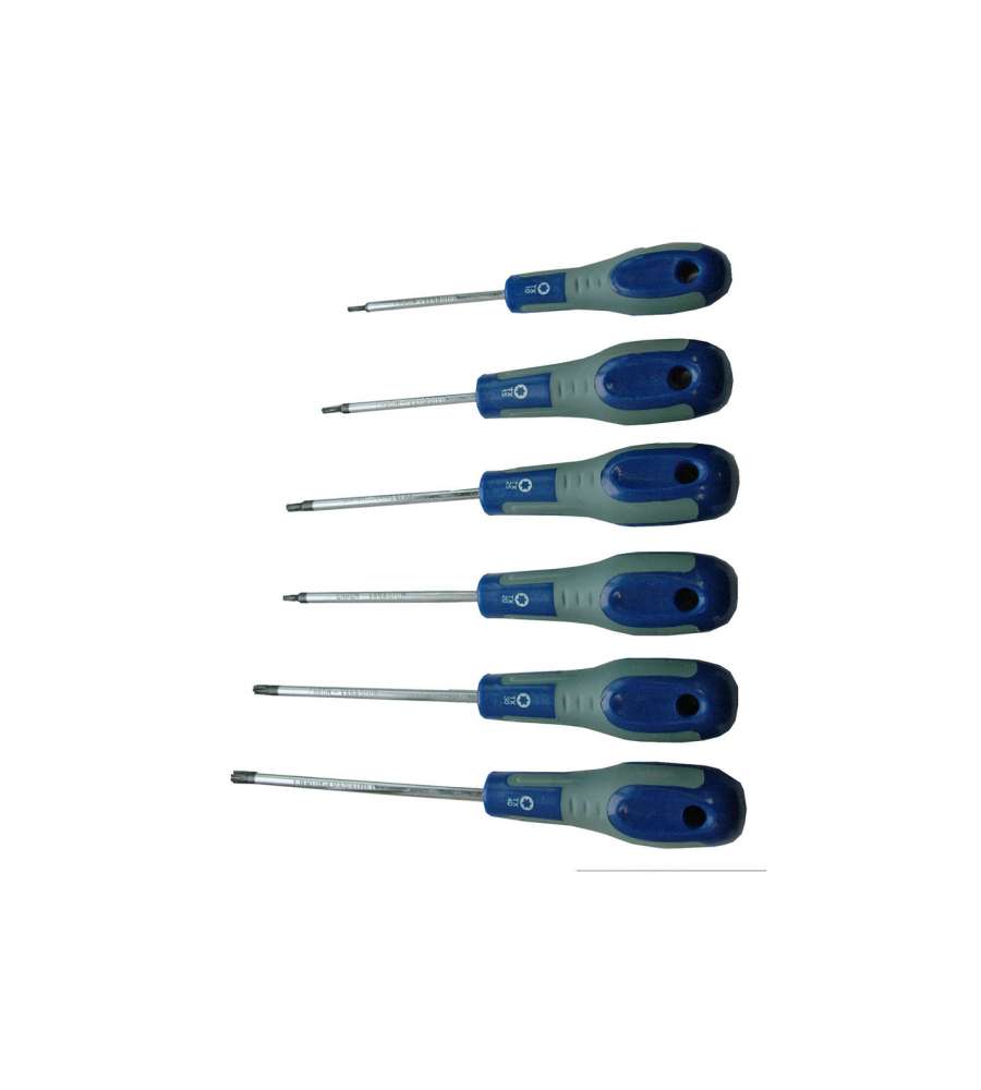 Giraviti Torx 6 pz