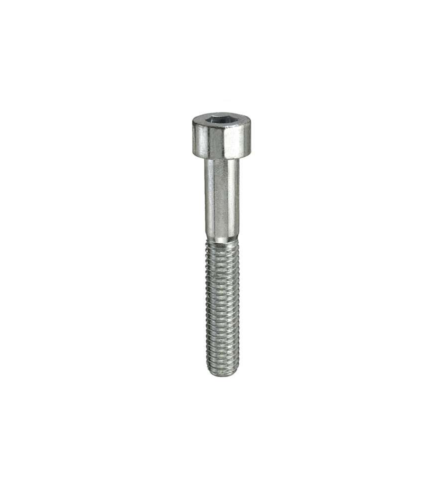 Viti testa cilindrica eagono incassato M5 x 25 - 12 pz.