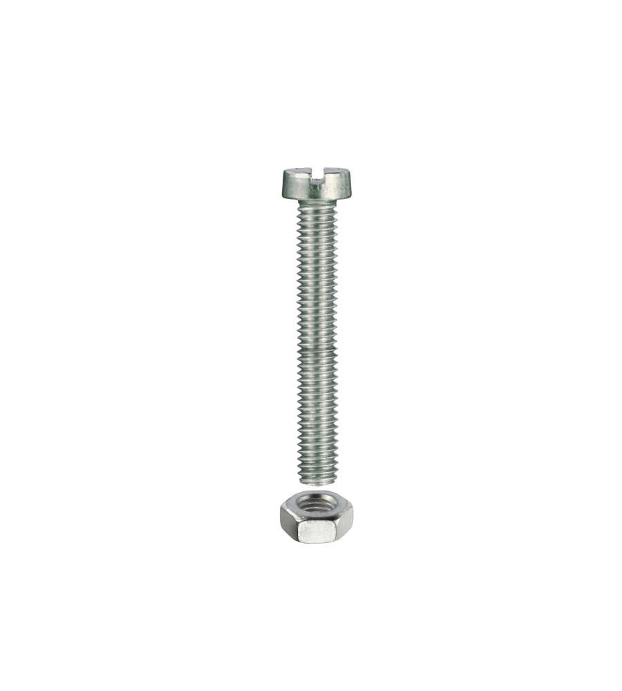 Viti per metallo testa cilindrica M3 x 10 - 30 pz.