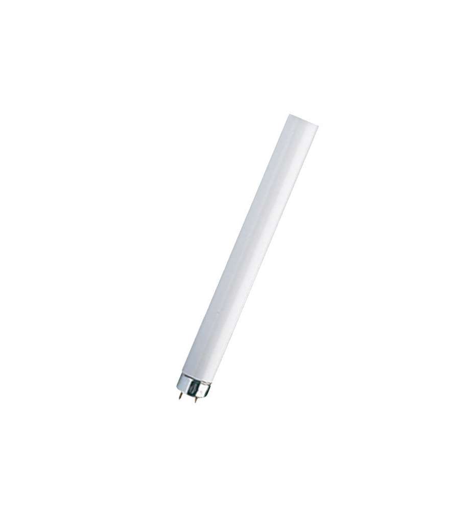 Lampada Fluorescente T8 W36                  Airam