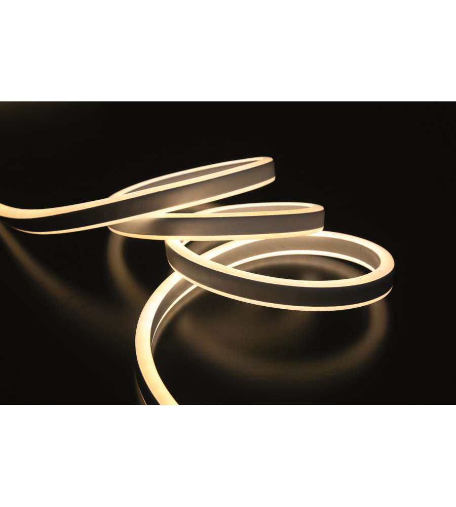 Neon flex bianco caldo bifacciale