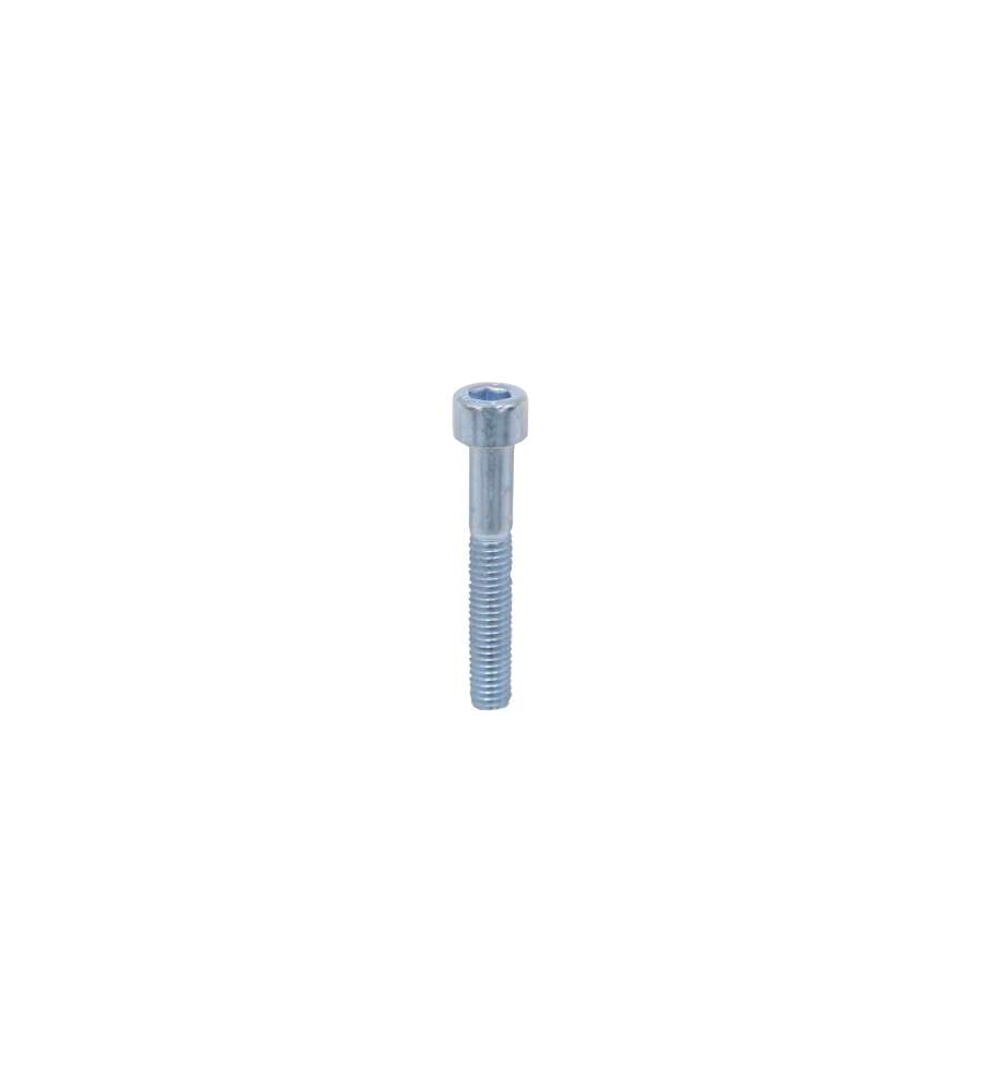 Viti Metriche Brugola Zincate Testa Cilindrica. Mm.6X25