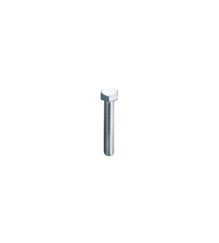 Viti Metriche Inox Testa Esagonale Mm.8X40