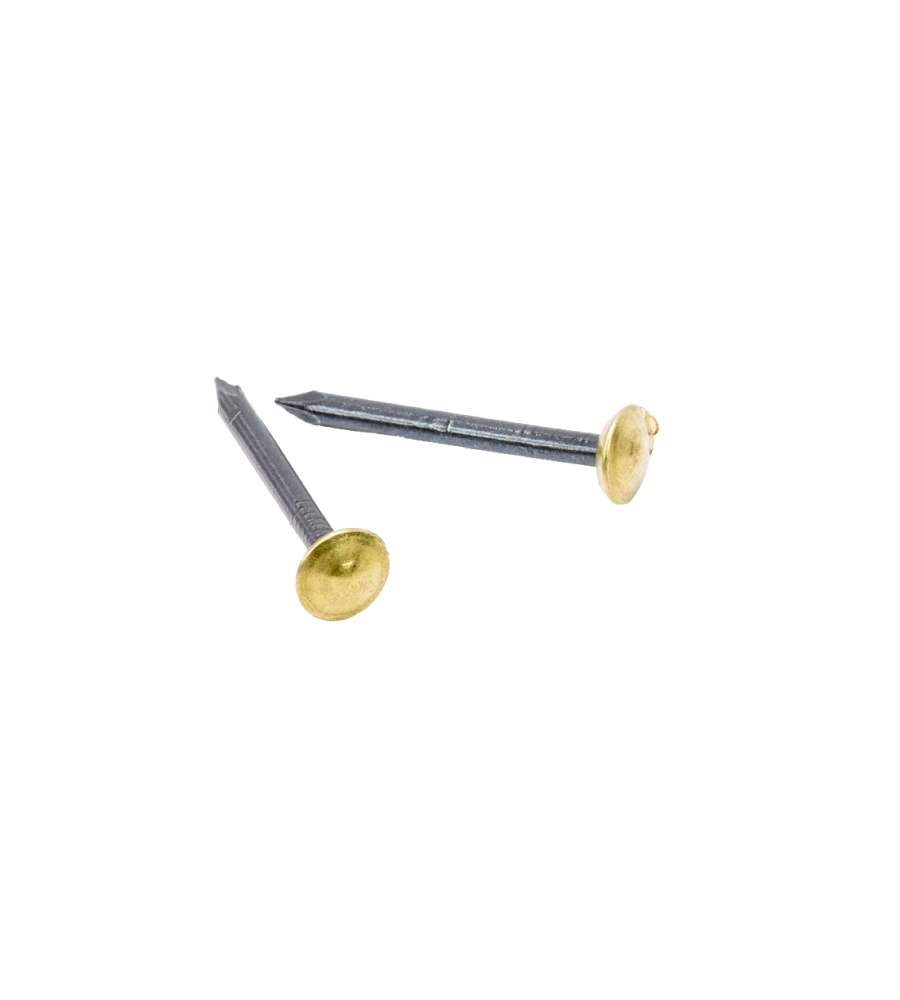 Chiodi Testa Rivestita Rame Mm.2X25