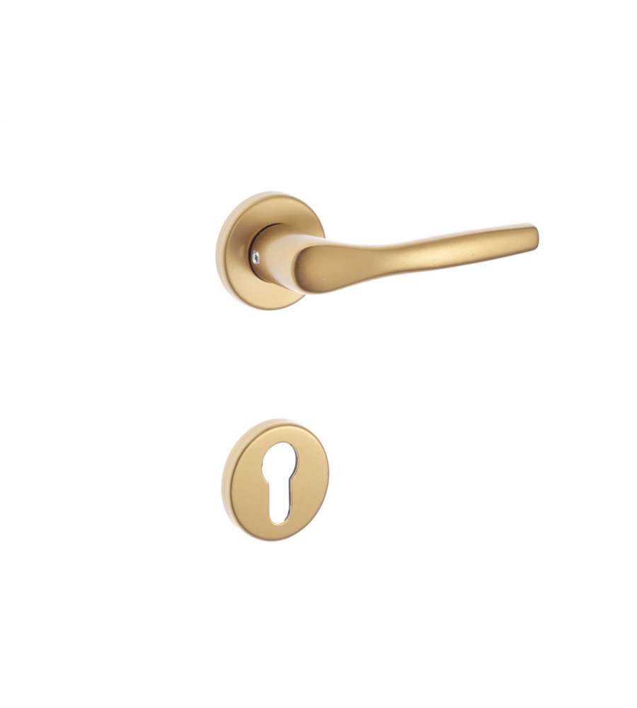 Maniglia Bica bronzo rosette yale