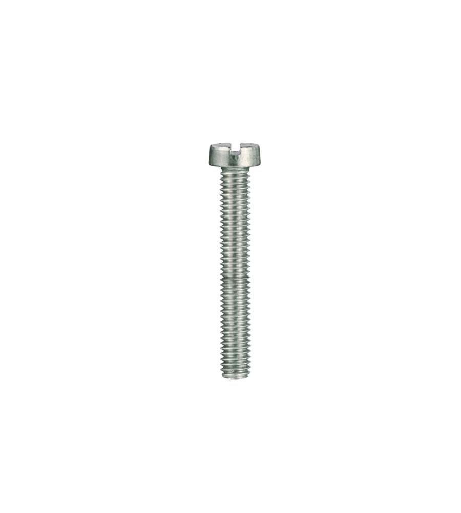 Viti per metallo testa cilindrica Inox 6 x 50