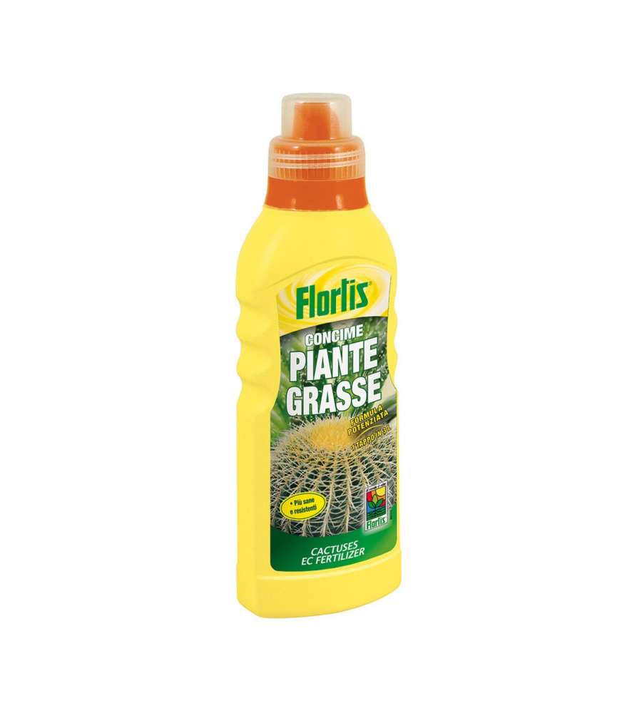 Piante Grasse 500 g