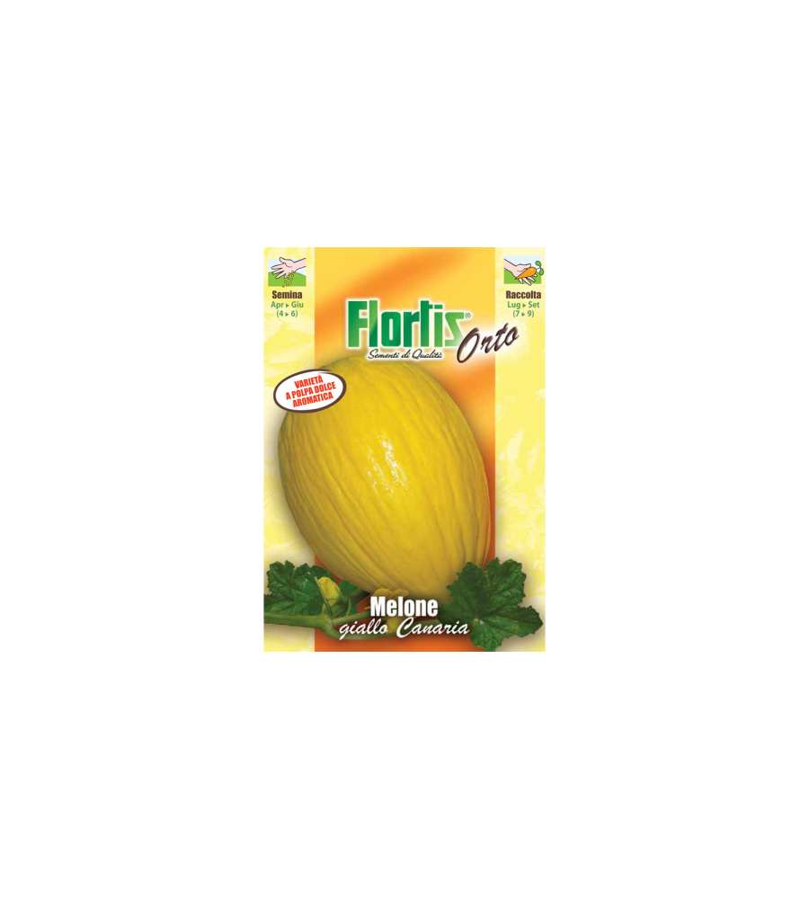 Melone Giallo Canaria