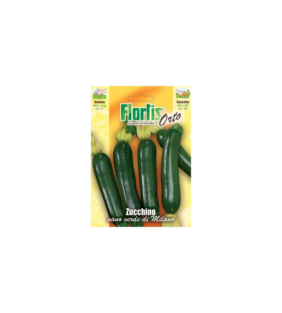 Zucchino Nano Verde Di Milano