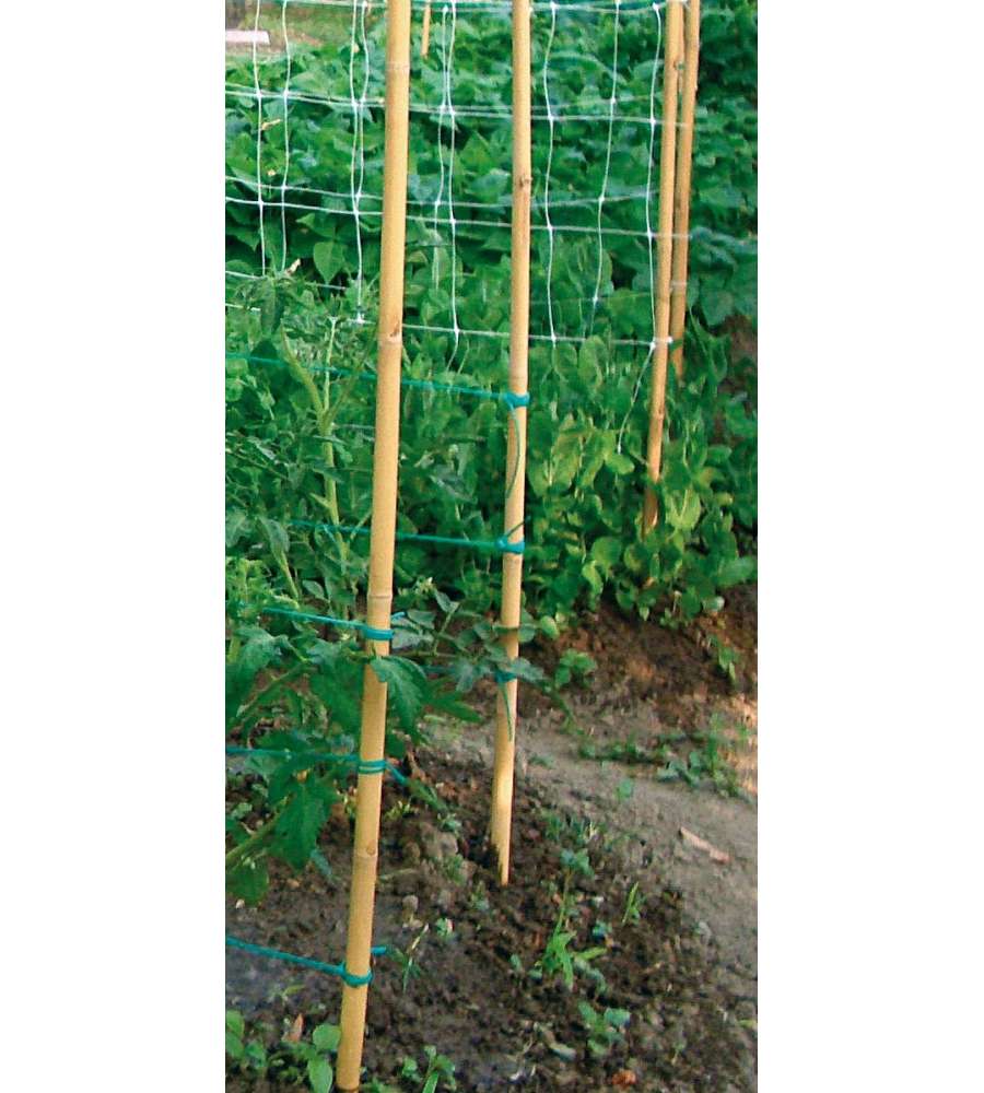 Canna bamboo serie pesante