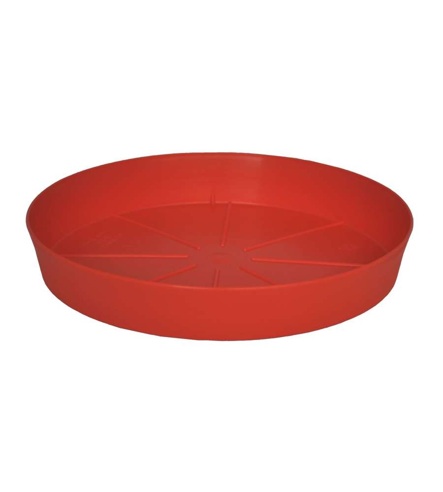 Sottovaso Memphis 12 cm Cherry