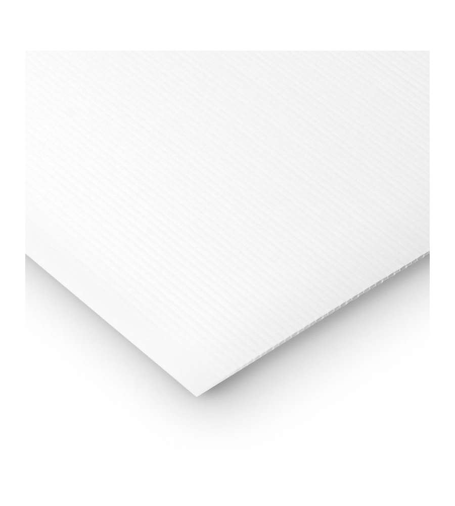 Pannello Alveolare 500x500 mm Spessore 2,5 mm Bianco