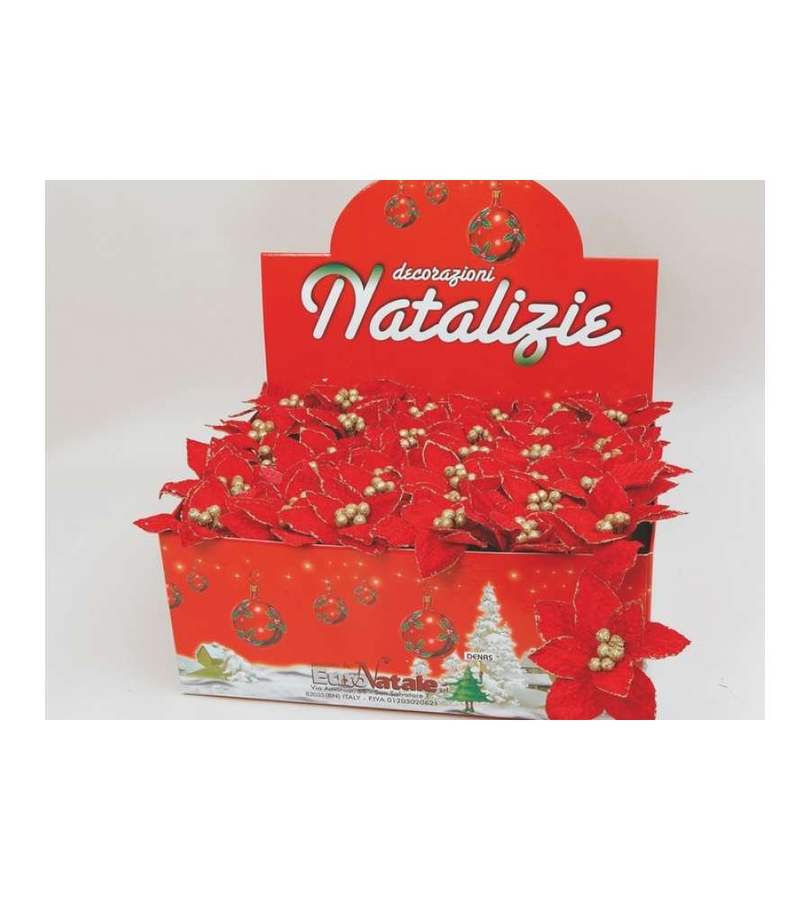 Stella Natale rossa