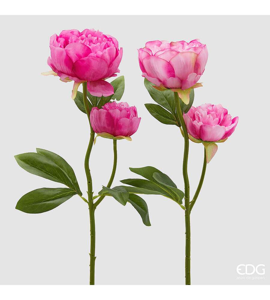EDG Ramo Peonia x2 H55 Foglie Colore Two Tone Pink