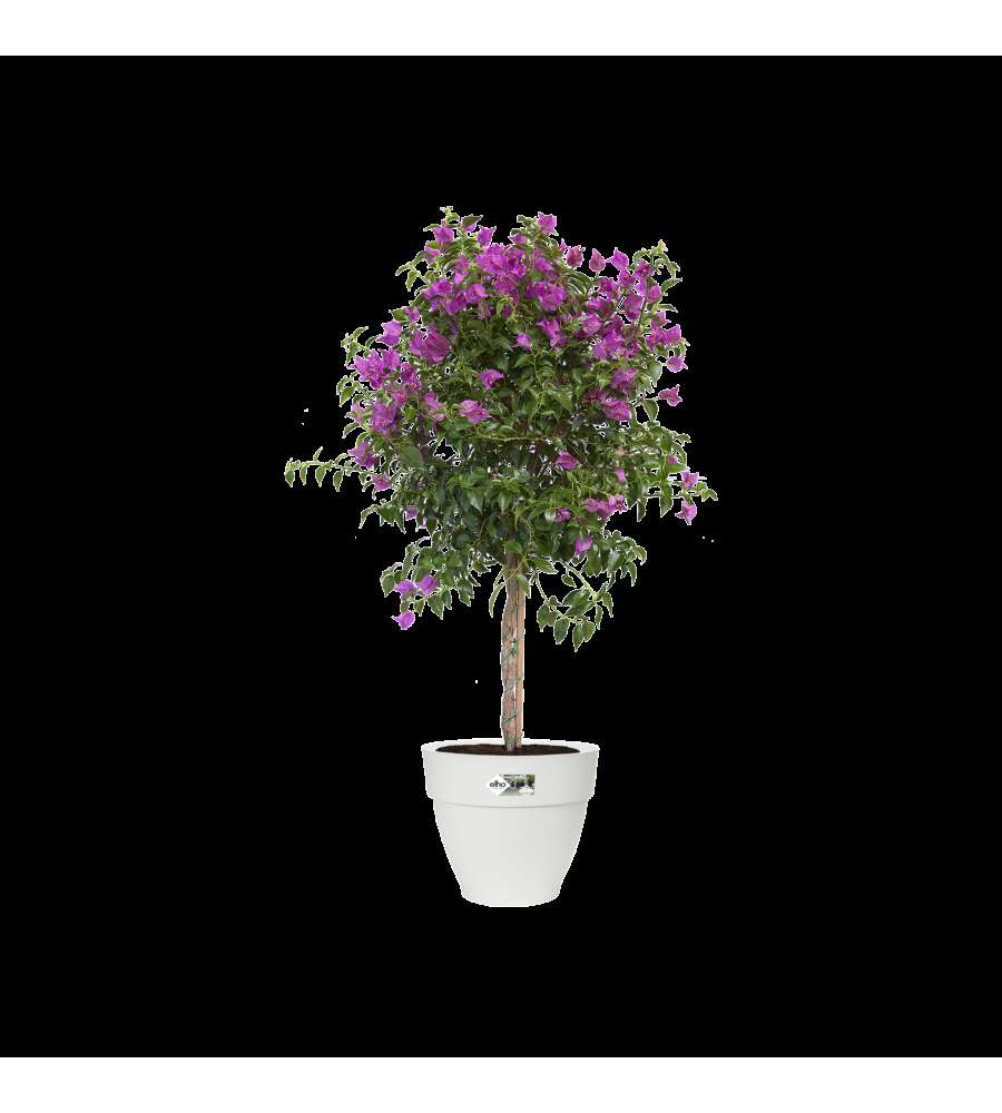 Vaso vibia campana round 35cm Bianco
