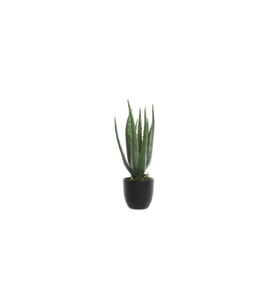 Pianta Aloe Vera artificiale h35cm