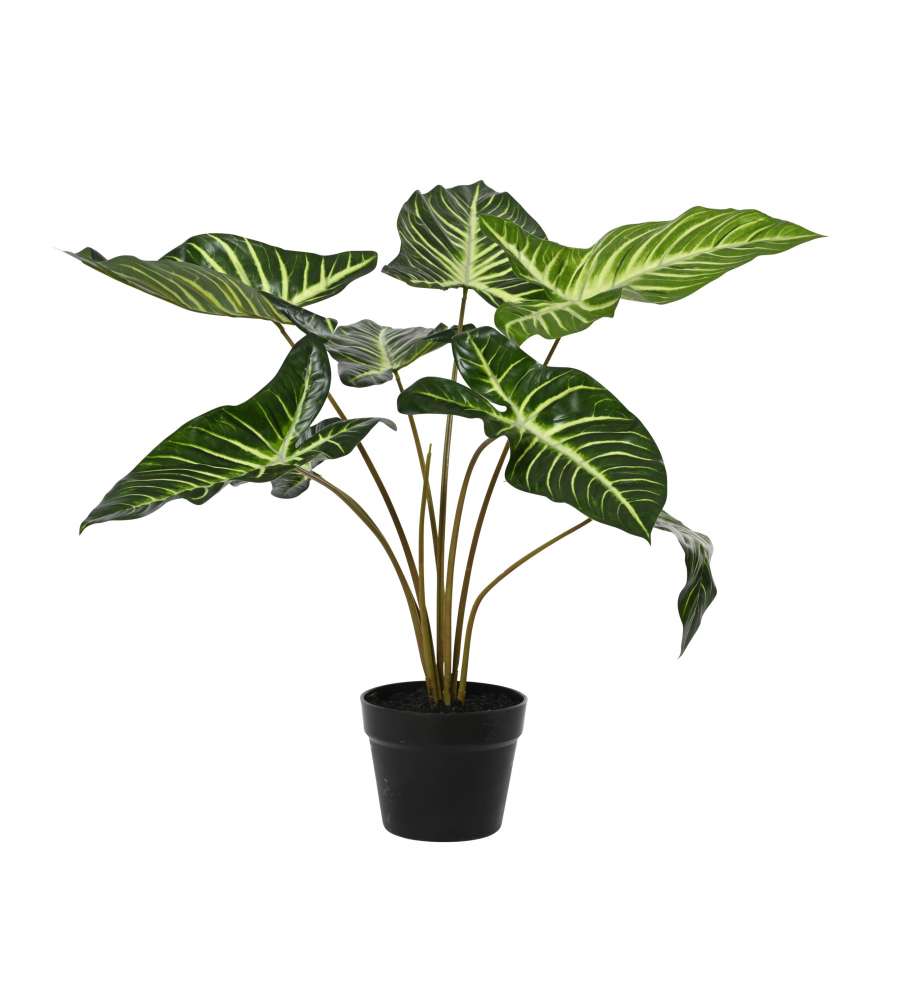 Pianta Artificiale Caladium in Vaso 55xH63 cm - 9 Foglie Verdi