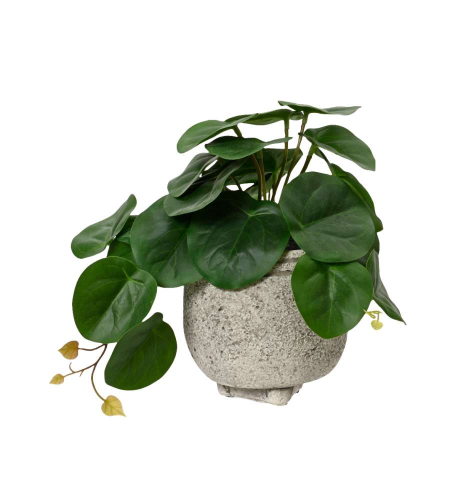 Pianta verde artificiale in vaso di cemento