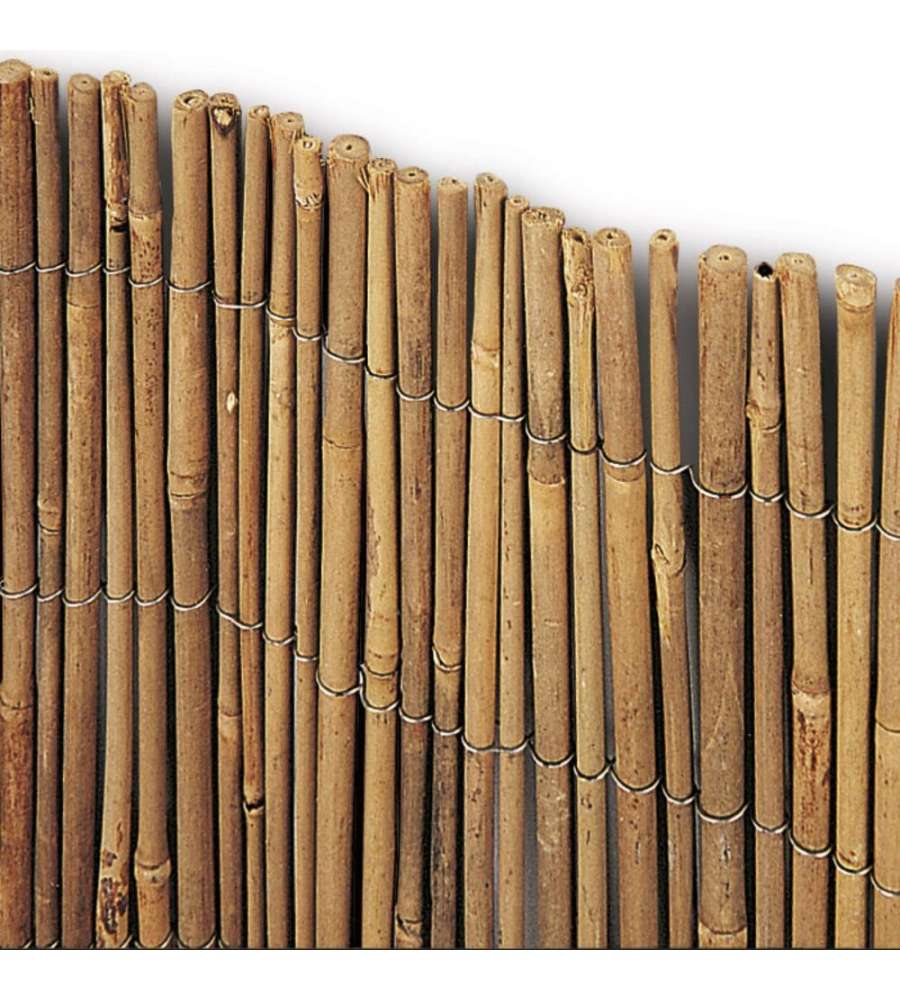 Verdelook Arella Bamb Naturale - Time - 150x300 cm