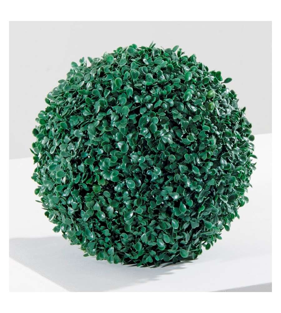 Sempreverde Greenball Deauville  38 cm