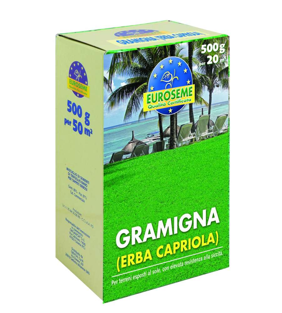 Euroseme Sementi Prato Gramigna - Resistente Siccit - 500g