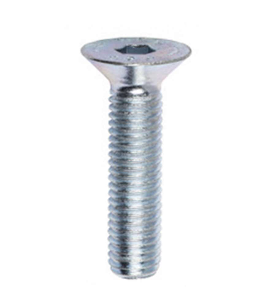 Viti metriche TSPEI Inox A2 - M5 x 16 - 16 pz.