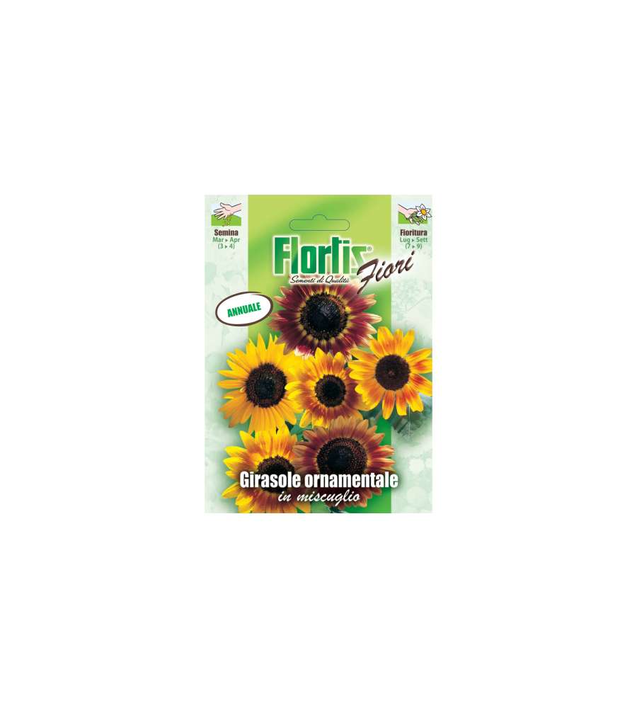 Flortis Semi di Girasole Ornamentali - Pronti per Semina