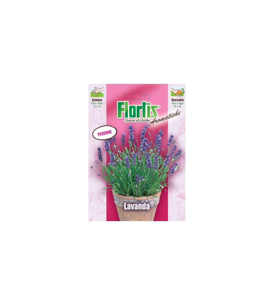 Flortis Semi di Lavanda - Busta Pronta per Semina - Fiori Aromatici