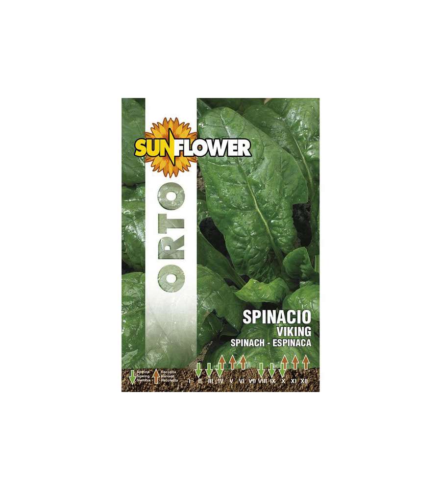 Sementi Spinacio Viking                  Sunflower