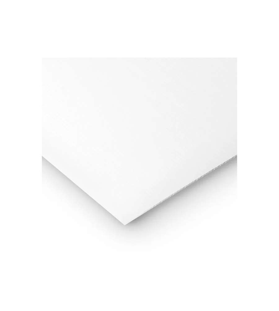 Pannello Alveolare in Polipropilene - Bianco - 1000x500x2,5 mm