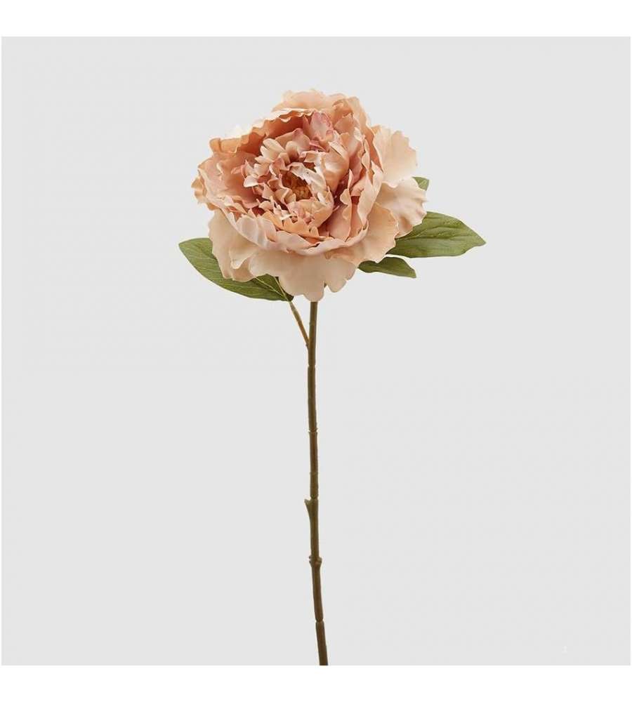 Peonia Epoque ramo da 51 cm color Pesca