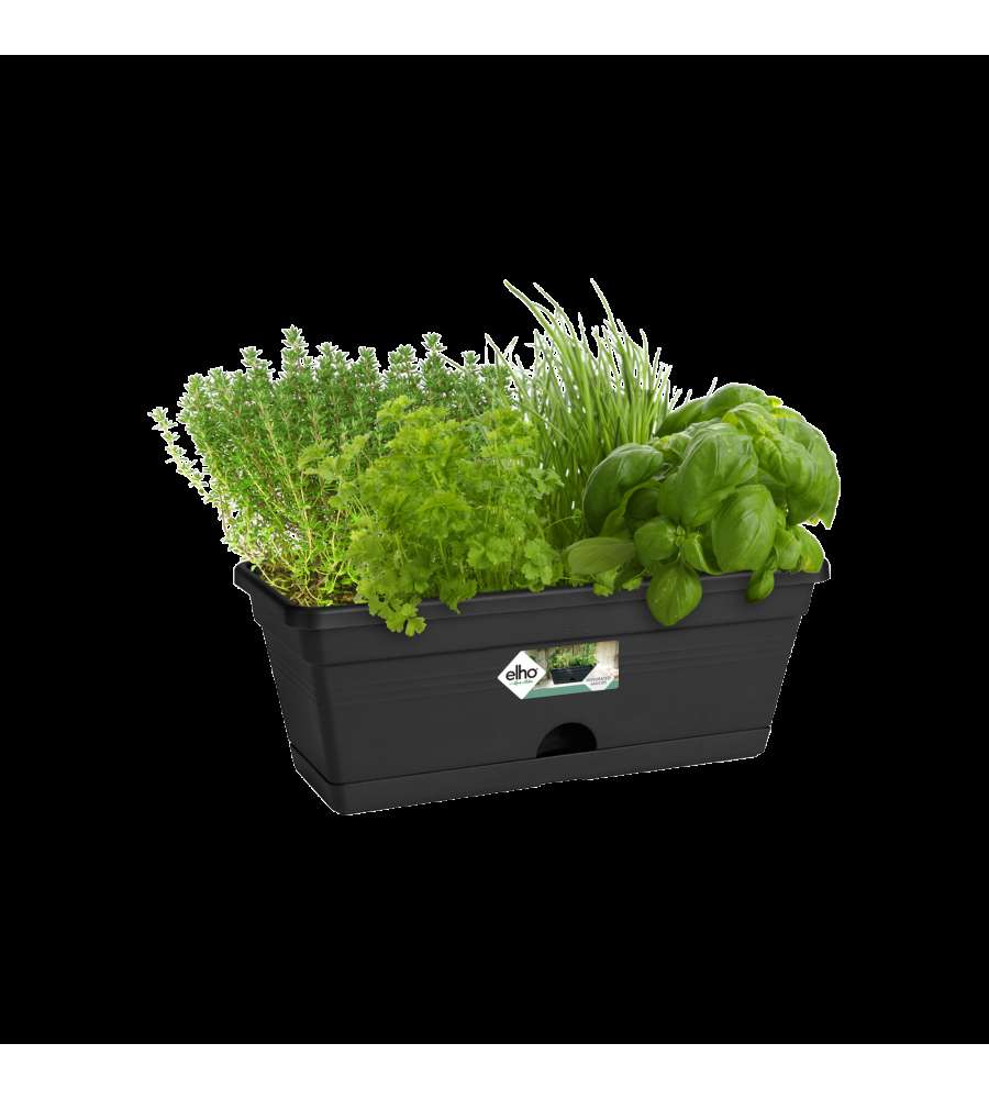 Elho Fioriera Basics Trough Mini - Nero - 30cm