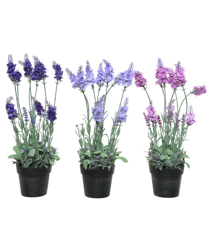 Lavanda artificiale colori assortiti