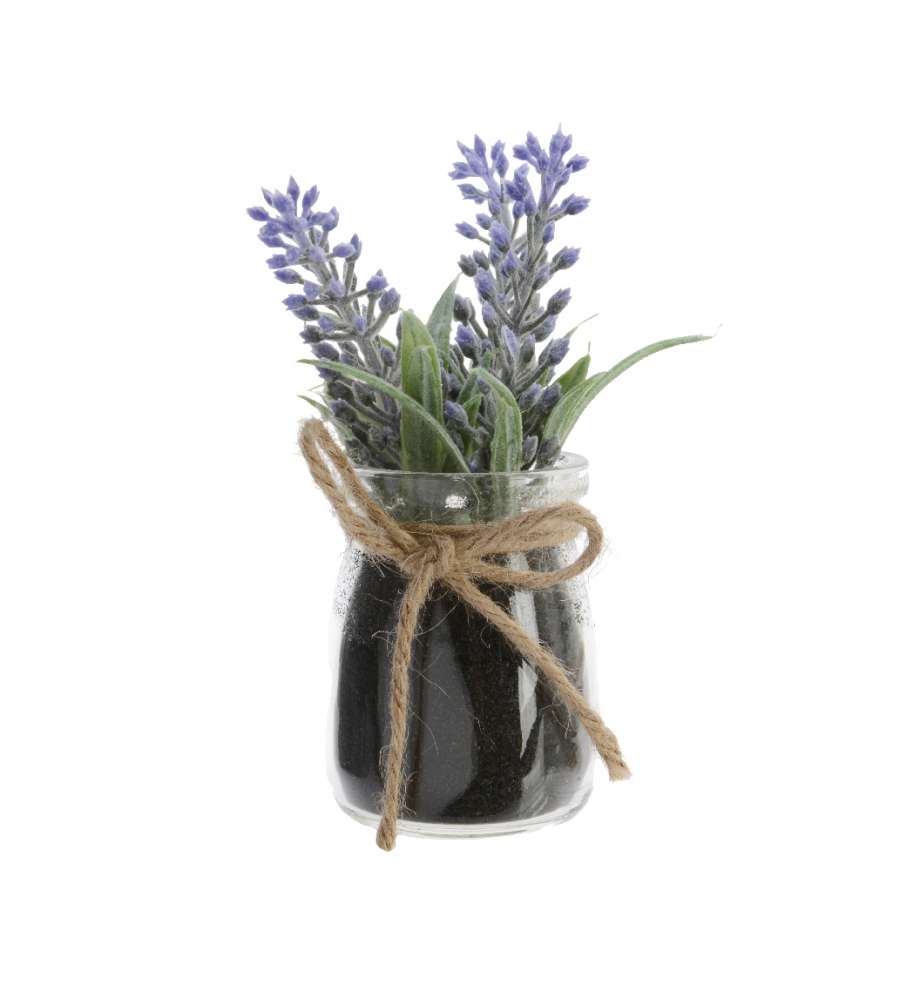 Lavanda con vaso vetro  5 x 10 h cm