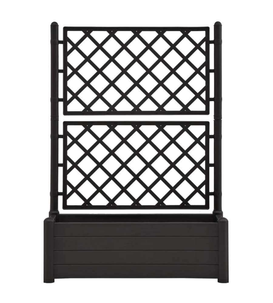 Fioriera da Giardino con Graticcio 100x43x142 cm PP Antracite