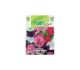 Petunia Ibrida Mix