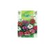 Verbena A Grandi Fiori