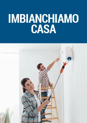 Vernici e antimuffa casa