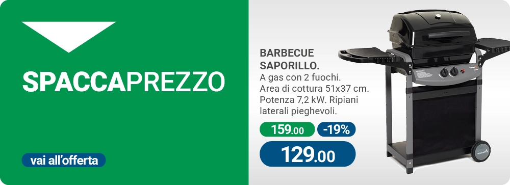 Barbecue a gas offerta