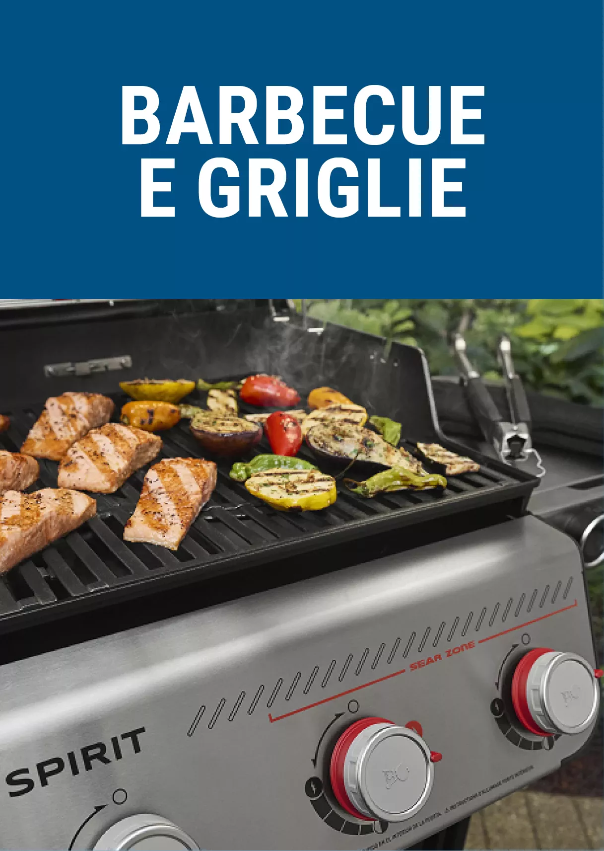 Barbecue e griglie