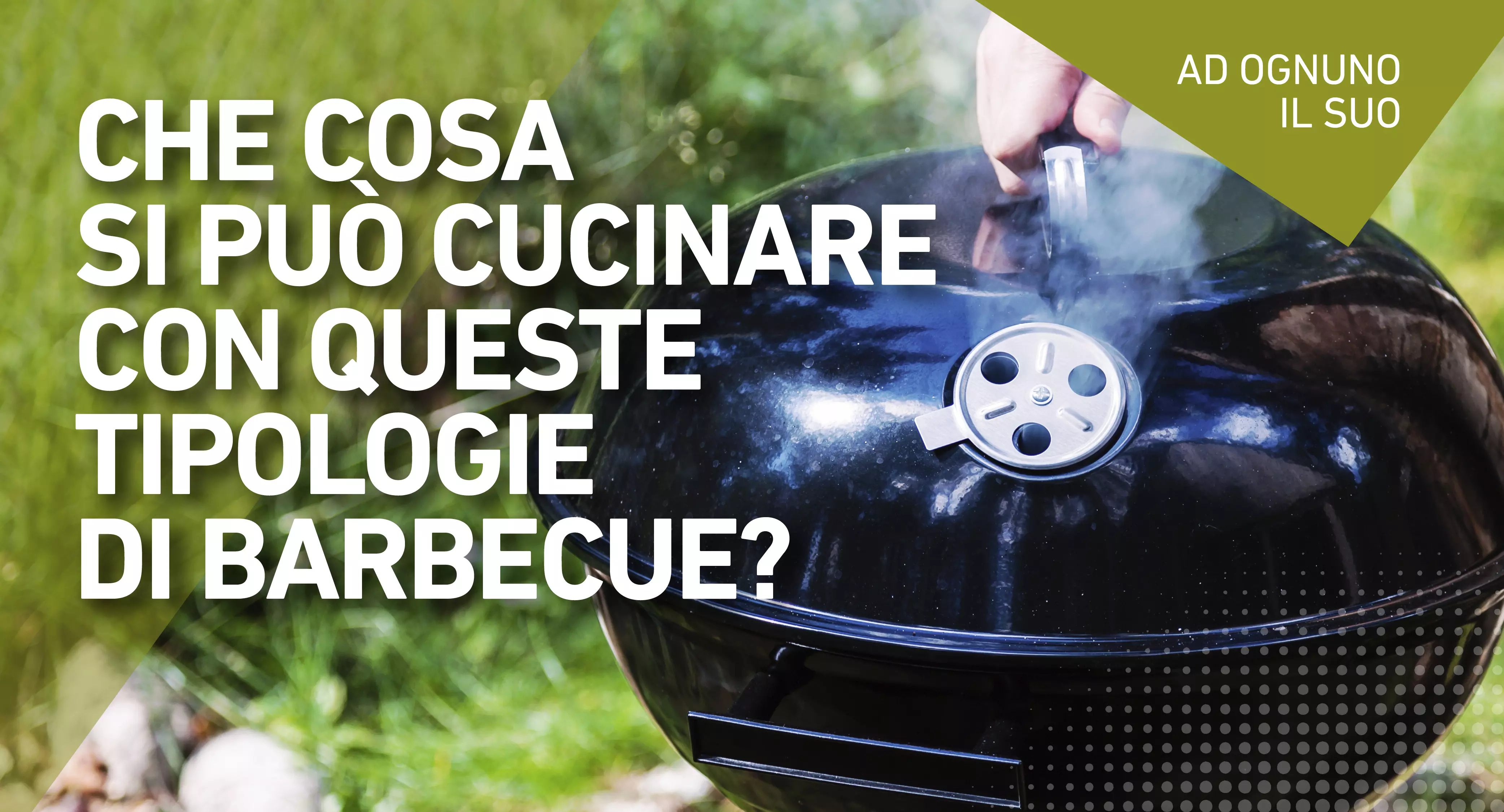 Che cosa si può cucinare con queste tipologie di b