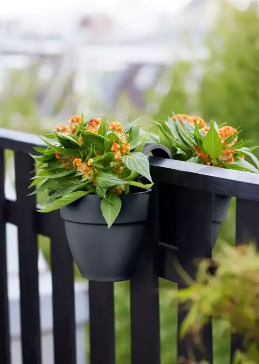 Un balcone sempre verde e fiorito