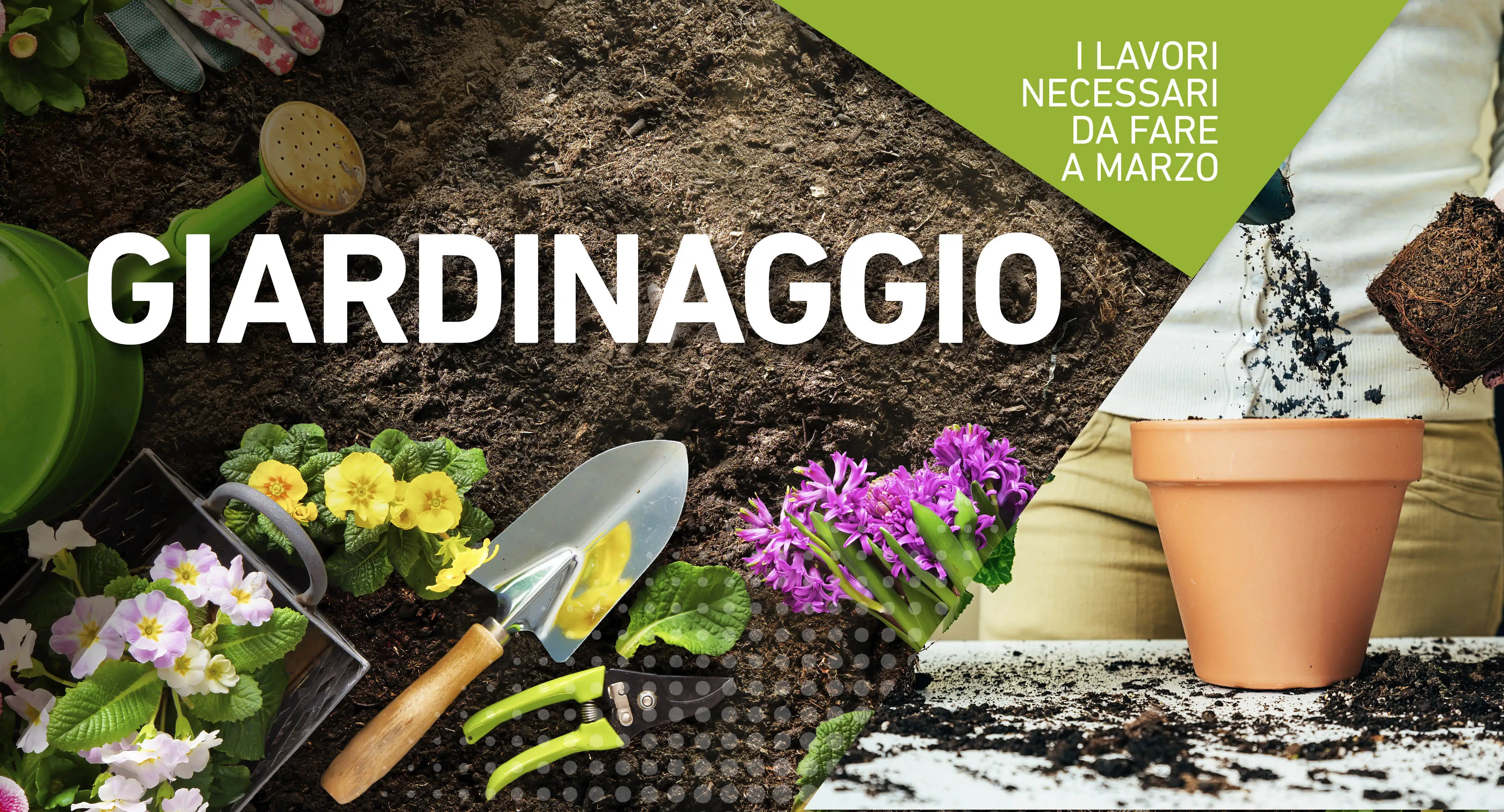 Giardinaggio: i lavori necessari da fare a marzo