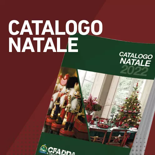 Speciale Natale
