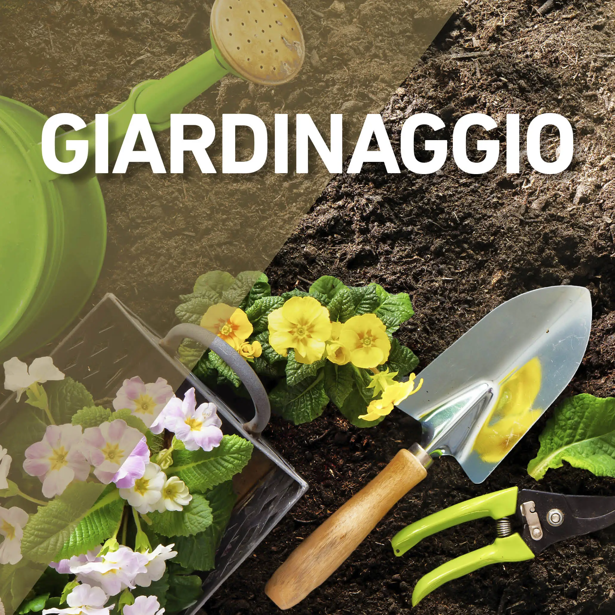 Giardinaggio: i lavori necessari da fare a marzo