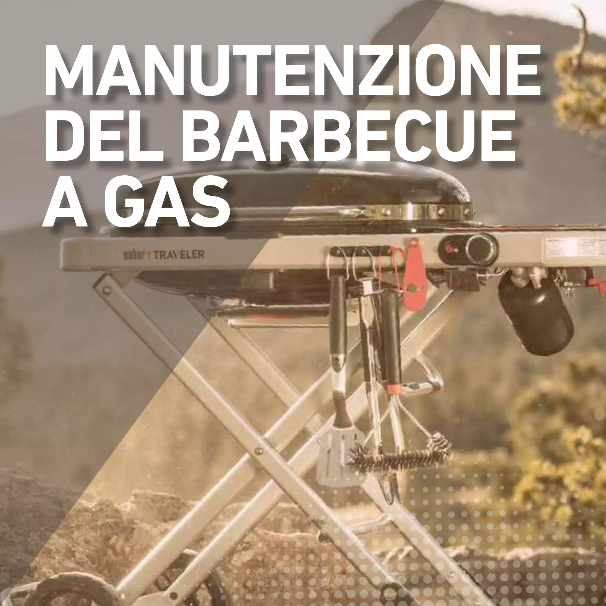 Manutenzione del barbecue a gas