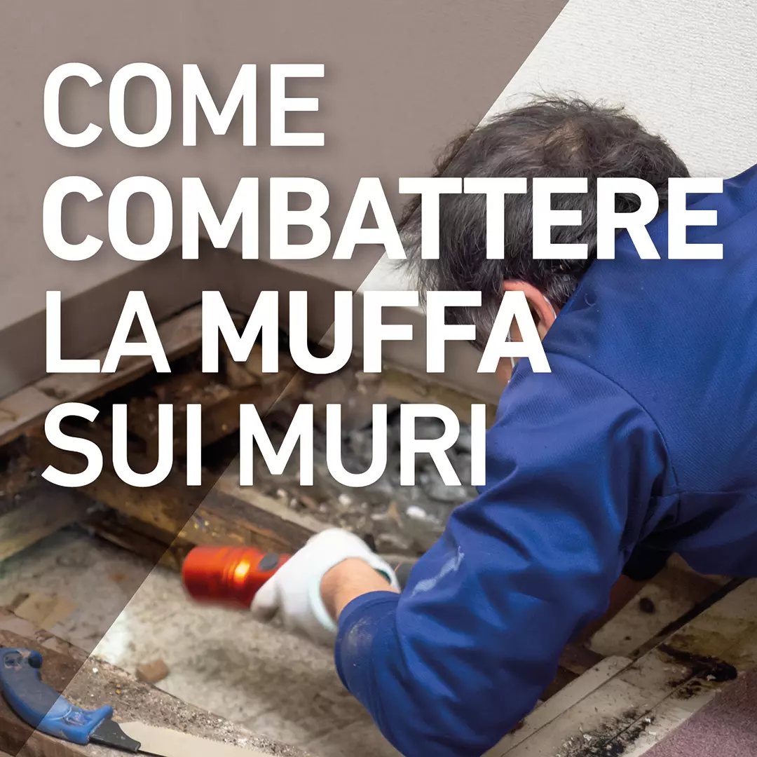 Come combattere la muffa sui muri