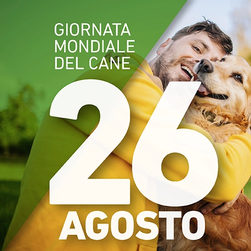 Giornata Mondiale del Cane 2021