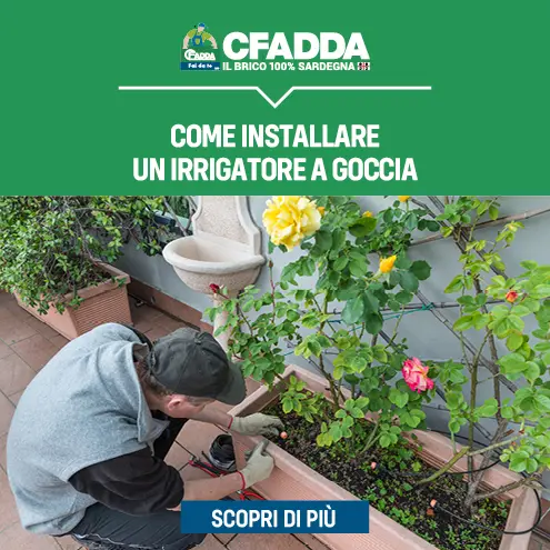 Come installare un irrigatore a goccia